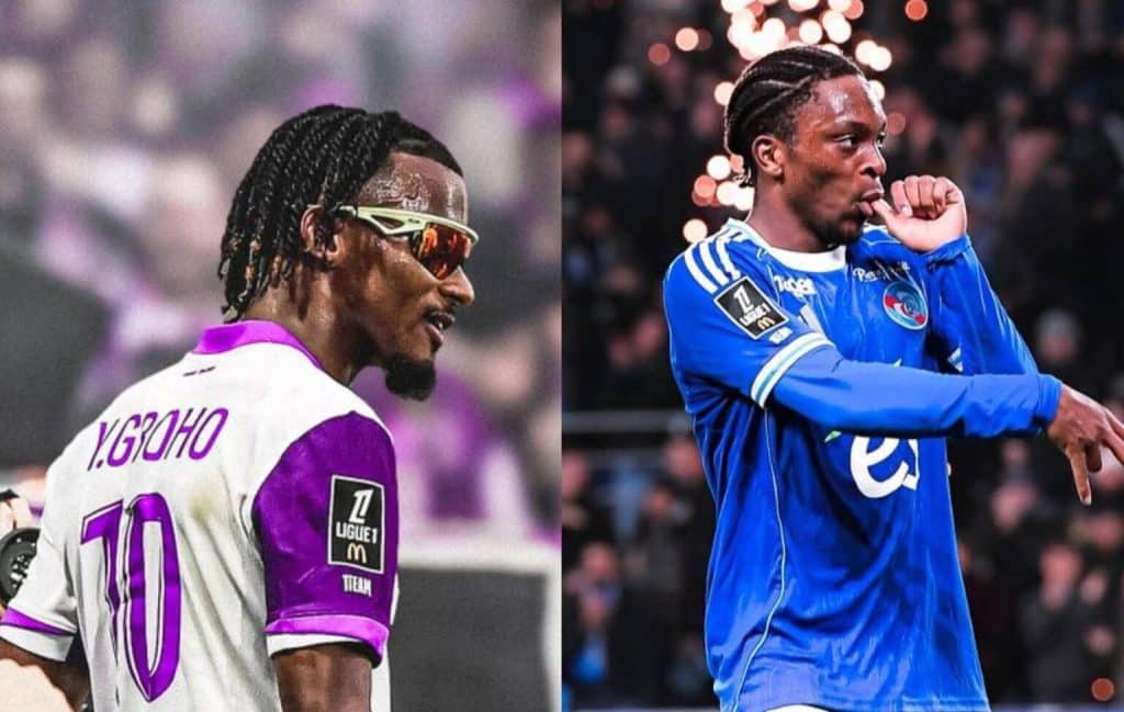 Elephants welcome two new players to the squad