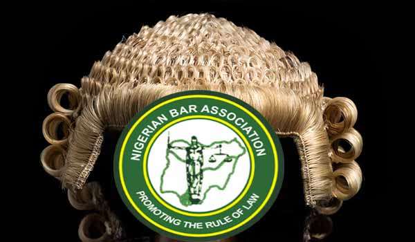 2027 Polls: NBA slams courts over roles in crisis rocking political parties