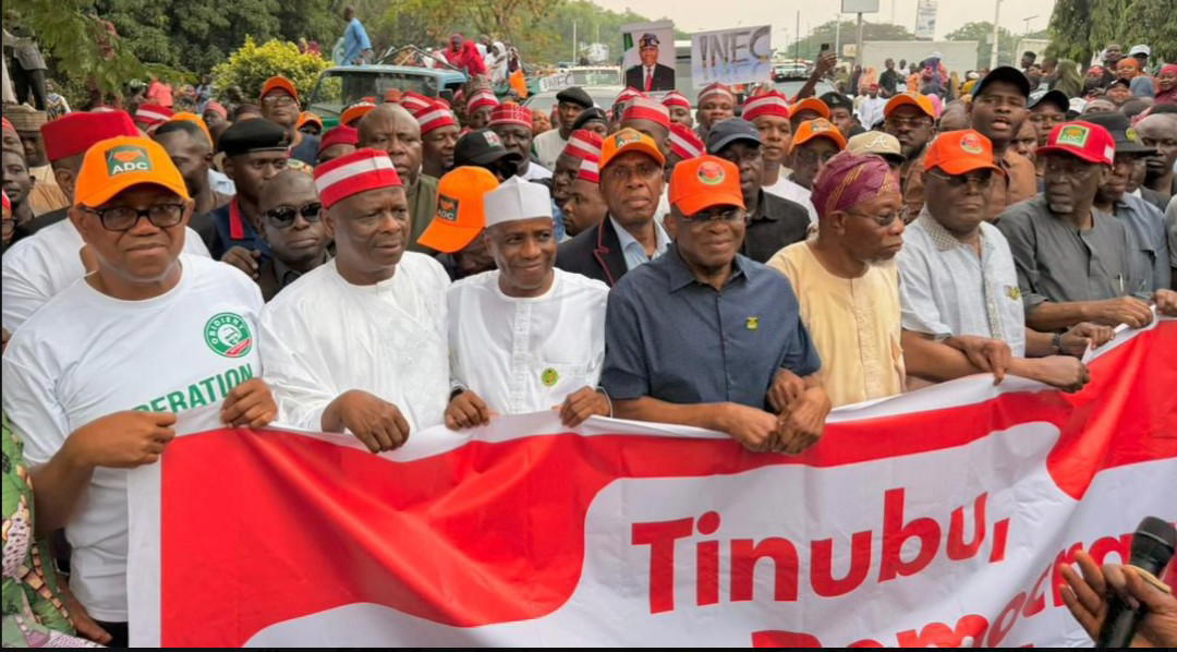 ADC lists 6-point demands at INEC protest