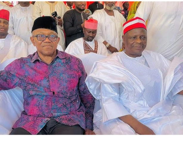 NDC woos Obi, Kwankwaso with presidential ticket ahead of primary deadline