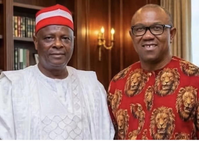 I’ll work with Obi, anyone that emerges as NDC’s presidential candidate — Kwankwaso