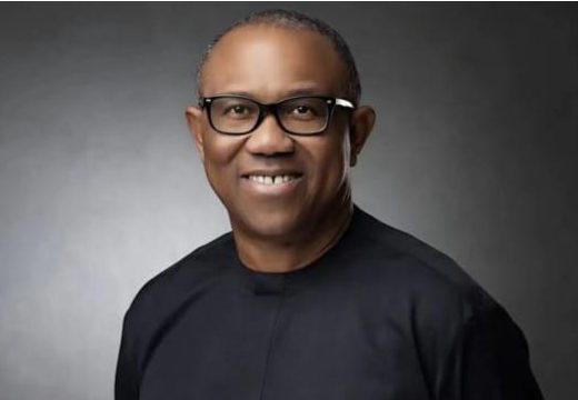 2027: NDC screens Peter Obi for presidential primaries