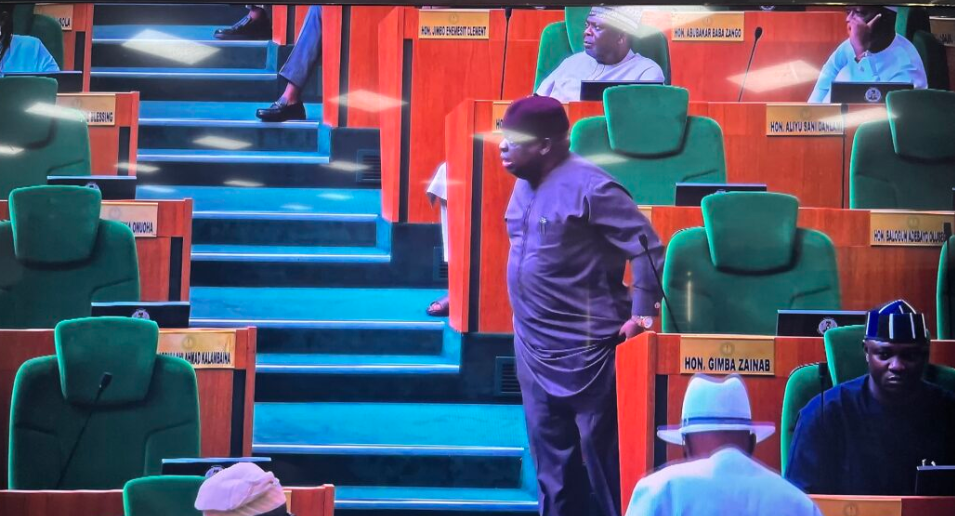 Minority leadership tussle disrupts Reps plenary